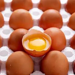 [HACCP/무항생제 인증] 난각번호 1번 유정란 40구 / 파손보상