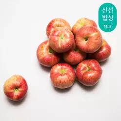 입안과즙가득! 아삭아삭 홍로 사과 가정용(실속형) 4kg 23~33과내외 꼬마크기