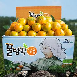 첫수확! 달콤새콤 진한 맛의 꿀범벅 타이벡감귤 4.5kg 9kg대용량