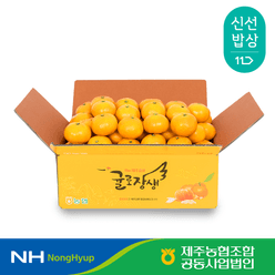 [제주농협] 귤로장생  노지감귤 9kg 로얄과(2S-M)