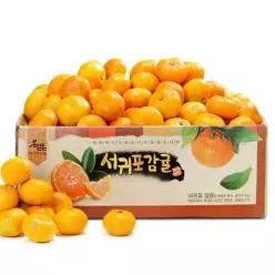나영이네농장 첫수확 맛좋은 감귤3kg 5kg 서귀포 귤