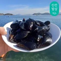 [품질보장] 이순신수산 육수좋은 마산 진동 홍합 여수 홍합 5kg