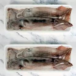 국내산 서해안 오징어 대사이즈 4미 (2마리 X 2팩 / 700g 내외)