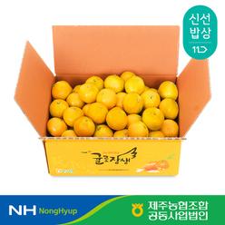 [제주농협] 귤로장생 하우스감귤 2.5kg 소과(2S 이하)