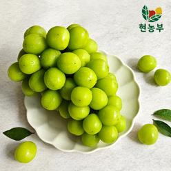 고당도 샤인머스켓 4kg (4~5수)