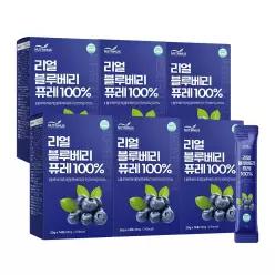 뉴트리너스 리얼 블루베리 퓨레 100% (20ml x 14포) 6박스