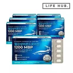 라이프허브 철갑상어 콘드로이친 1200 MBP 6박스(1,200mg x 180정) 6개월분