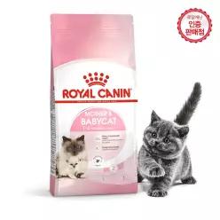 로얄캐닌 고양이사료 마더앤베이비캣 4kg+습식2개