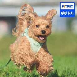 헤이테일 에어워크 가벼운 하네스/목줄+리드줄 SET (XS-L)