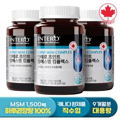 [인테로] 캐나다 조인트 엠에스엠 컴플렉스 180정 X 3병 (9개월분) MSM 영양제 무릎 관절 연골 JOINT