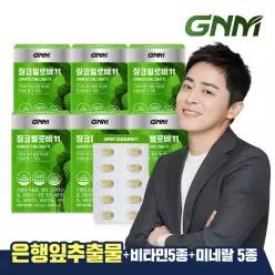 GNM 징코빌로바11 6박스 / 은행잎추출물 비타민B 아연 판토텐산