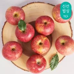 경북 홍로햇사과 가정용 2kg 12-16과/2세트구입시4.5kg발송/미색/상처과/꼬마크기