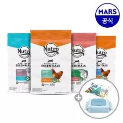 뉴트로 캣 6.35kg 골라담기+캣닢쿠션+베베숲물티슈1팩