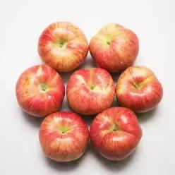햇 사과 사과 4kg 19~21과 중소과/가정용/미색 상처과