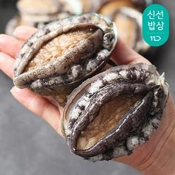 완도 전복 1kg 9-10미 왕특대 프리미엄