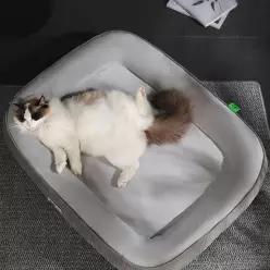 펫리치 강아지 쿠션 방석 매트 침대 푹신한 베개
