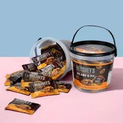 허쉬 초콜릿칩 쿠키 400g (통)