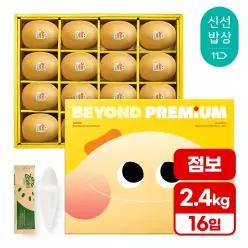 [추석선물] 제스프리 썬 골드키위 (점보size) 비욘드 선물세트 총 2.4k내외