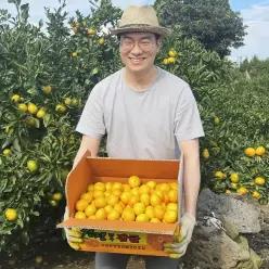 제주귤왕 효돈 농장 노지귤 주스용 특대과(2L이상) 10kg