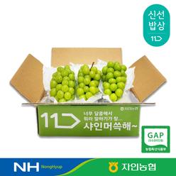 [자인농협 특가] 경산자인농협 GAP인증 고당도 샤인머스켓 2kg (2~3수) 농협정품 저탄소인증