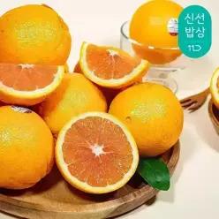 직수입 당도엄선 카라카라 오렌지 중대과 4kg (16~22과내외)