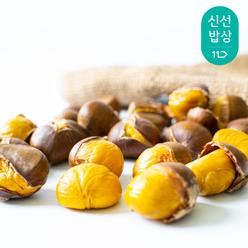 [품질보장] 황금 청년 약단밤 칼집밤 2kg