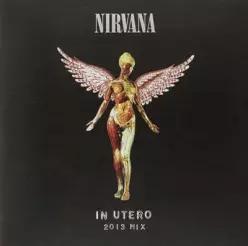 [LP] Nirvana (너바나) - In Utero (2013 Mix) [2LP] /발매 20주년 기념반