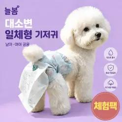 늘봄 노견 치매강아지 똥기저귀 남아공용 숫컷 배변패드 고양이 대소변일체형 체험팩 2개입