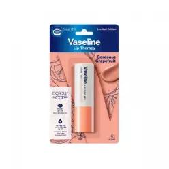 VASELINE 2개부터 구매가능 바세린 컬러 앤 케어 립밤 그레이프프룻 4.2G 4206205