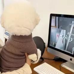 강아지 고양이 겨울 니트 스웨이드 골지 터틀넥 강아지옷