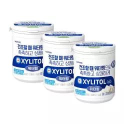 자일리톨 랩 워터링 용기 100g x 3개