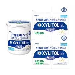 자일리톨 랩 워터링 용기 100g x 1개+리필 115g x 2개