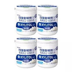자일리톨 랩 워터링 용기 100g x 4개