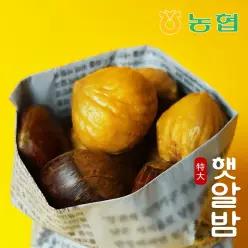 [농협] 토실토실 햇밤 순창 알밤 특대 2kg (제수용)