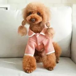 [하프클럽/]봄가을 니트가디건 반려견 사계절 심플디자인애견