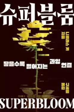 슈퍼블룸 /닿을수록 멀어지는 과잉 연결