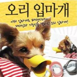 발톱깎을때 유용한 강아지입마개 입질교육 씹는 펫입마개 노령견