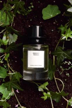 ZARA EBONY WOOD 오드 퍼퓸 100ML(3.4 FL.OZ)