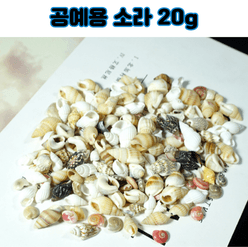 레진 공예 아트 재료 미니 소라 조개 20g 부자재