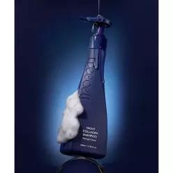 매장정품 TREECELL 나이트콜라겐 샴푸 미드나잇 포레스트 520ml
