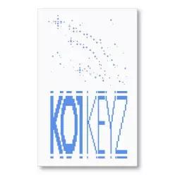 KO1KEYZ 코이키즈  - KO1KEYZ  싱글 1집   KR   KEYRING VER