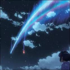 [LP] 너의 이름은 애니메이션 음악 (君の名は / your name. OST by Radwimps 래드윔프스) [2LP] (신카이 마코토 영화 OST )