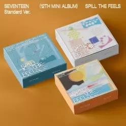 SEVENTEEN 세븐틴 - SPILL THE FEELS 미니 12집
