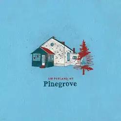 [CD] Pinegrove (파인그로브) - 5집 Amperland, NY