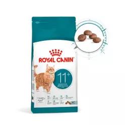 로얄캐닌 캣 에이징 11+ 2kg 고양이 사료 노령묘 적정 노화관리