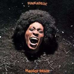 [LP] Funkadelic (펑카델릭) - Maggot Brain [LP] (이달의 록 LP )