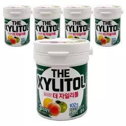 (102g 5개) 오리온 더 자일리톨 껌 용기/입심심/간식껌/후식껌/휴대/씹는/맛있는/입냄새/성인/학생/가정