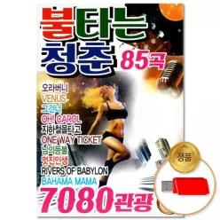 85곡윤성 불타는 음반 소장용 음악감상 청춘 더지엠USB_7080 관광 WFHGC0M28U