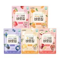 그대로 동결건조 과일칩 바로칩 10팩 골고루 세트