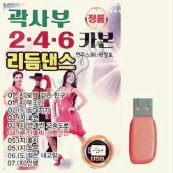 음악USB 리듬댄스 246 곽사부 48곡 NWA964B1